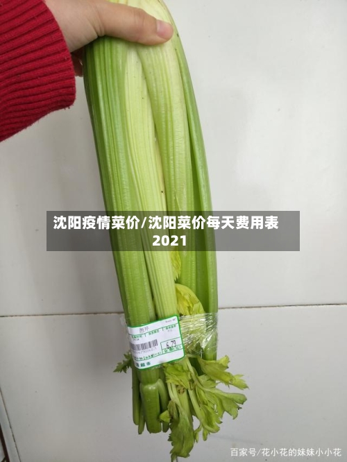 沈阳疫情菜价/沈阳菜价每天费用表2021-第2张图片