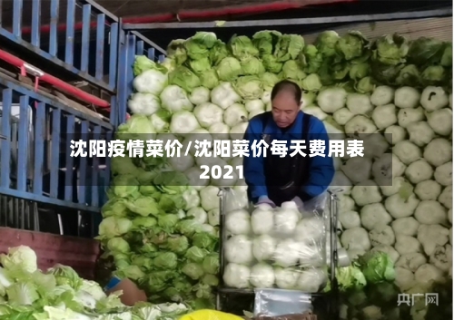 沈阳疫情菜价/沈阳菜价每天费用表2021-第3张图片