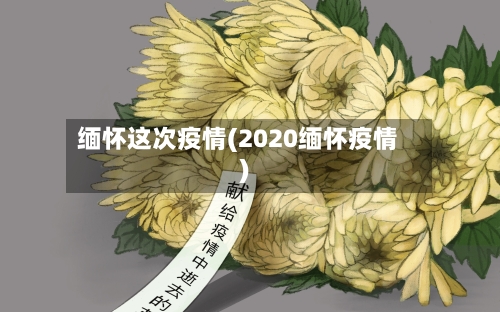 缅怀这次疫情(2020缅怀疫情)-第2张图片