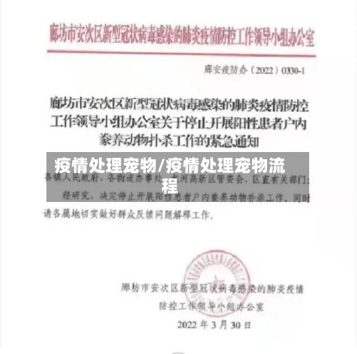 疫情处理宠物/疫情处理宠物流程-第3张图片