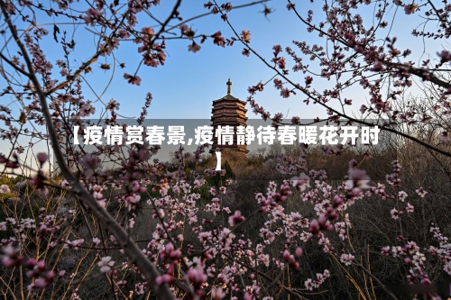 【疫情赏春景,疫情静待春暖花开时】