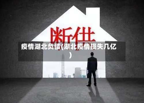 疫情湖北负债(湖北疫情损失几亿)