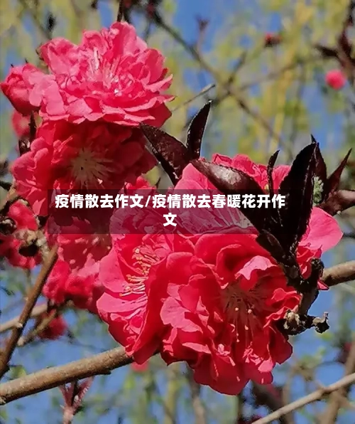 疫情散去作文/疫情散去春暖花开作文