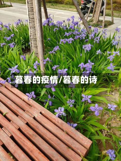 暮春的疫情/暮春的诗