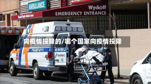 向疫情投降的/哪个国家向疫情投降-第2张图片