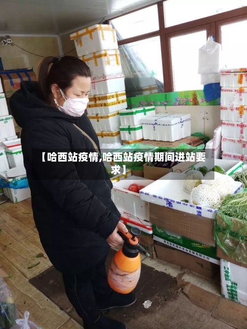 【哈西站疫情,哈西站疫情期间进站要求】