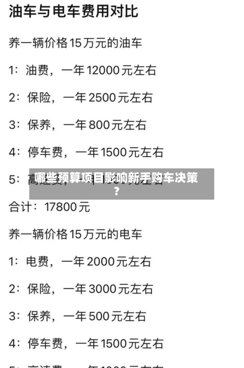 哪些预算项目影响新手购车决策？-第2张图片