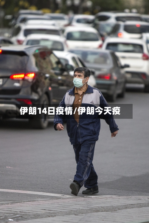 伊朗14日疫情/伊朗今天疫-第3张图片