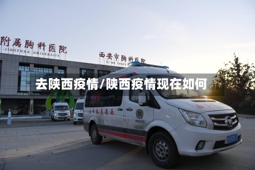 去陕西疫情/陕西疫情现在如何-第2张图片