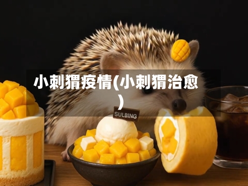 小刺猬疫情(小刺猬治愈)