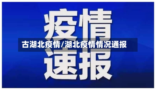 古湖北疫情/湖北疫情情况通报-第3张图片