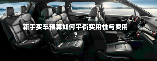 新手买车预算如何平衡实用性与费用？