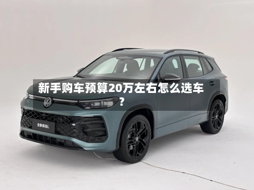 新手购车预算20万左右怎么选车?-第2张图片