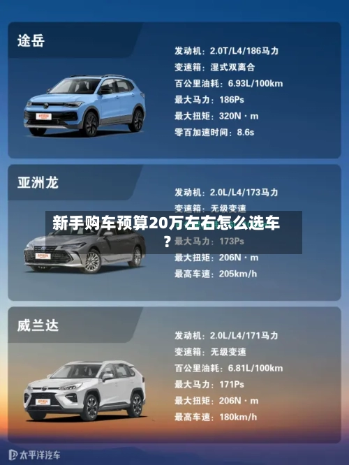 新手购车预算20万左右怎么选车?-第3张图片