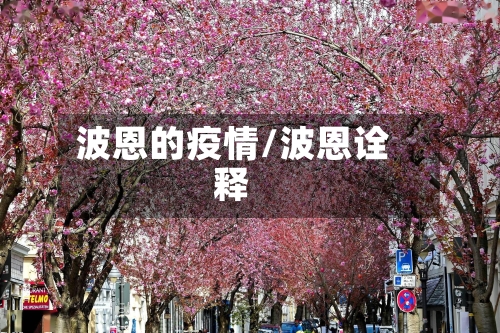 波恩的疫情/波恩诠释-第3张图片