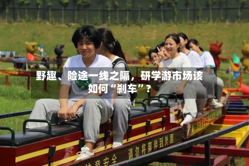 野趣、险途一线之隔，研学游市场该如何“刹车”？-第2张图片