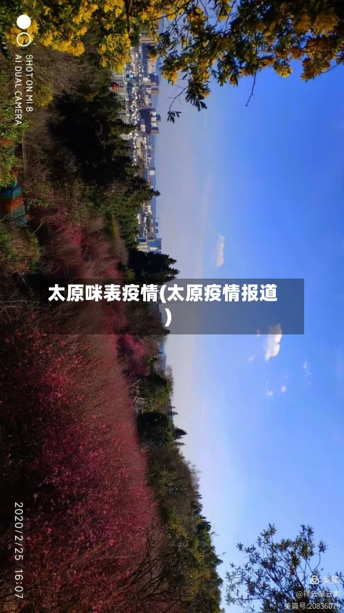 太原咪表疫情(太原疫情报道)-第2张图片