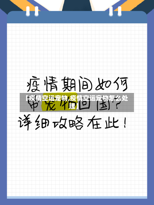 【疫情空运宠物,疫情空运宠物怎么处理】-第3张图片