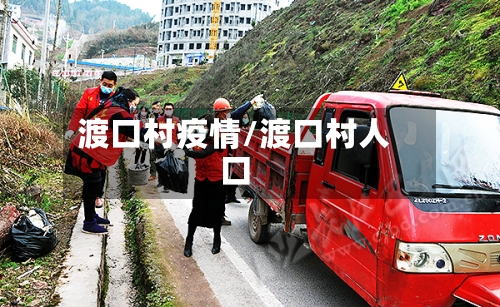 渡口村疫情/渡口村人口