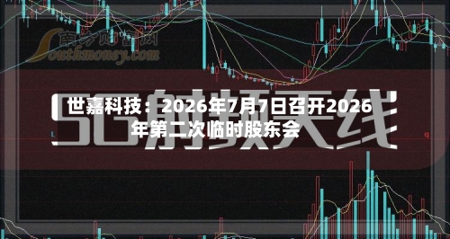 世嘉科技：2026年7月7日召开2026年第二次临时股东会-第3张图片