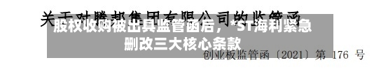 股权收购被出具监管函后，*ST海利紧急删改三大核心条款-第2张图片