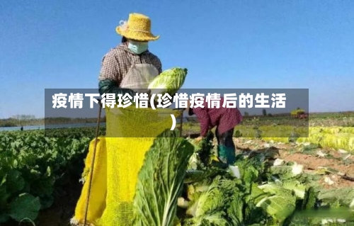 疫情下得珍惜(珍惜疫情后的生活)