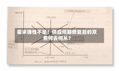 需求弹性不足!供应预期修复后的双焦何去何从?-第2张图片