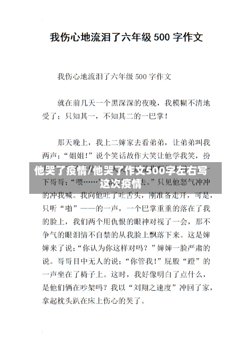 他哭了疫情/他哭了作文500字左右写这次疫情-第2张图片