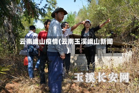云南峨山疫情(云南玉溪峨山新闻)-第3张图片