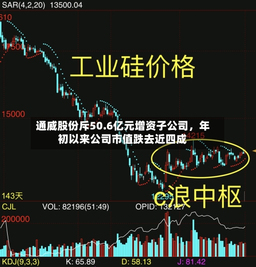通威股份斥50.6亿元增资子公司	，年初以来公司市值跌去近四成-第2张图片