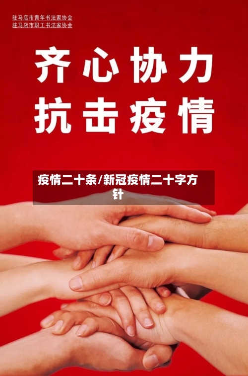 疫情二十条/新冠疫情二十字方针
