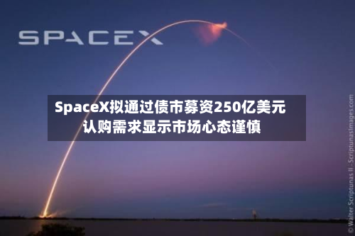 SpaceX拟通过债市募资250亿美元 认购需求显示市场心态谨慎-第2张图片