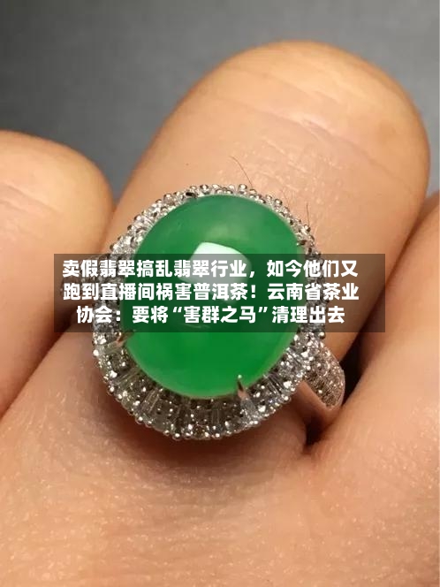 卖假翡翠搞乱翡翠行业，如今他们又跑到直播间祸害普洱茶！云南省茶业协会：要将“害群之马”清理出去-第3张图片