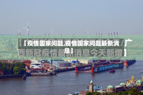 【疫情国家问题,疫情国家问题最新消息】-第2张图片