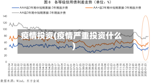 疫情投资(疫情严重投资什么)
