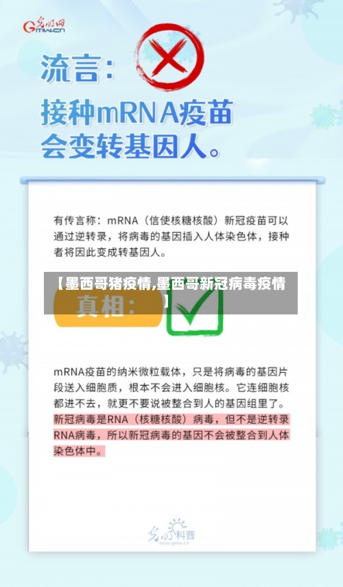 【墨西哥猪疫情,墨西哥新冠病毒疫情】