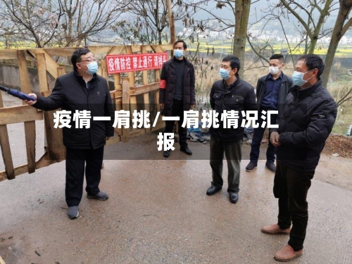 疫情一肩挑/一肩挑情况汇报