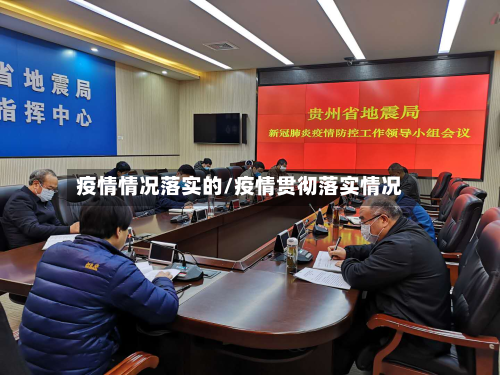 疫情情况落实的/疫情贯彻落实情况