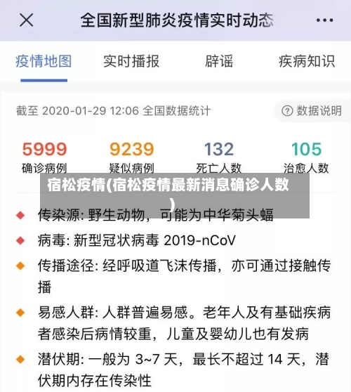 宿松疫情(宿松疫情最新消息确诊人数)