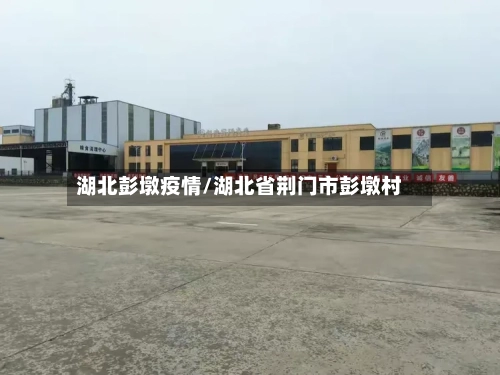 湖北彭墩疫情/湖北省荆门市彭墩村