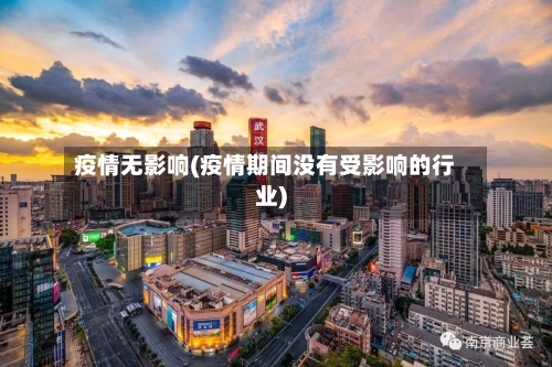 疫情无影响(疫情期间没有受影响的行业)