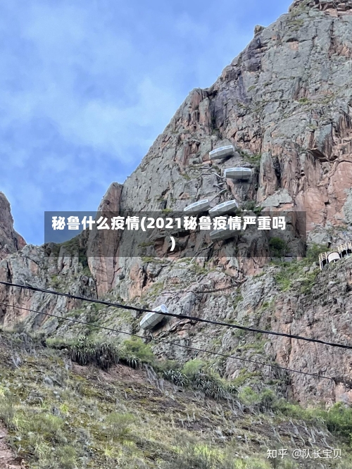 秘鲁什么疫情(2021秘鲁疫情严重吗)-第2张图片