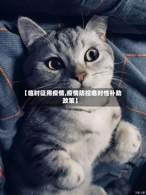 【临时征用疫情,疫情防控临时性补助政策】