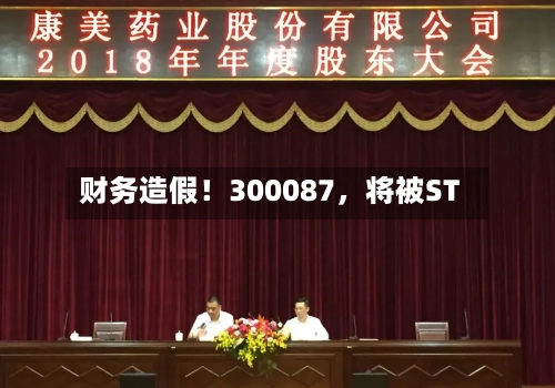 财务造假！300087，将被ST-第2张图片