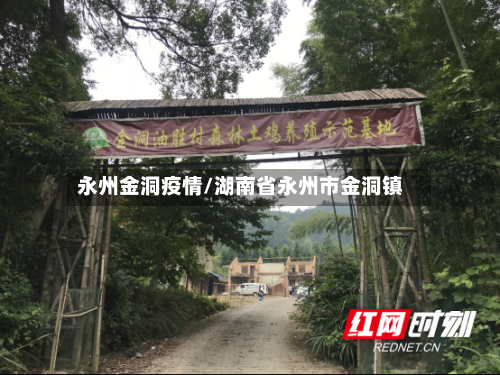 永州金洞疫情/湖南省永州市金洞镇