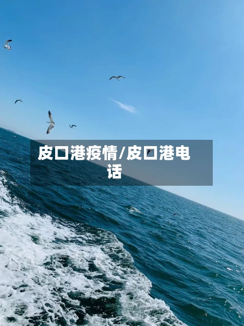 皮口港疫情/皮口港电话
