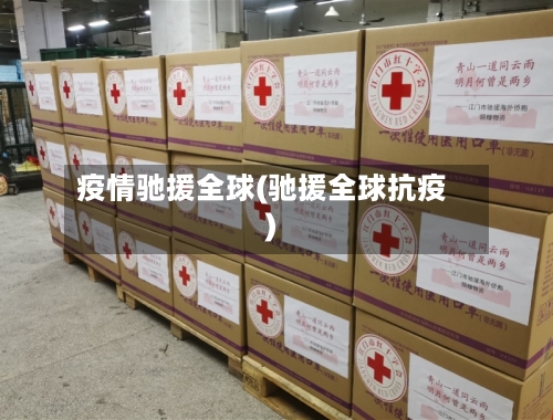 疫情驰援全球(驰援全球抗疫)-第2张图片