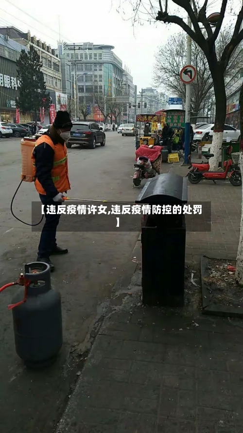 【违反疫情许女,违反疫情防控的处罚】-第2张图片