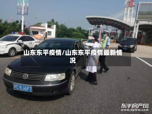 山东东平疫情/山东东平疫情最新情况-第2张图片