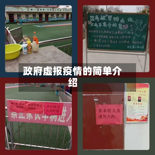 政府虚报疫情的简单介绍